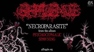 Effluence  Necroparasite Song Premiere [upl. by Aytnahs]