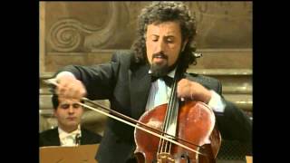 Mischa Maisky  Haydn  Cello Concerto No 2 in D major [upl. by Narhem]