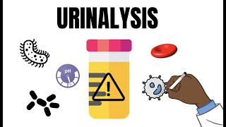 Urinalysis Interpretation QUICK and EASY [upl. by Mcneely]