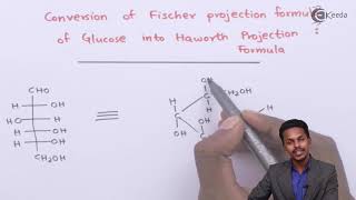 Conversion of Fischer Projection of Glucose to Haworth Projection Formula  Biomolecules [upl. by Leachim]