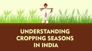 Understanding Cropping Seasons in India  Kharif Rabi Zaid  Factly [upl. by Sioux]