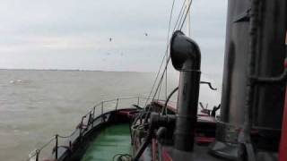 Stoomsleepboot Hugo met windkracht 7 op het IJsselmeer [upl. by Katzman]