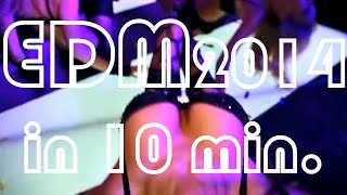 EDM 2014 In 10 Minutes Yearmix by Dzeko amp Torres [upl. by Arahas32]