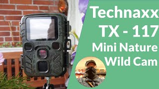 Eindringlinge  Hermann rüstet auf  Technaxx TX  117 Mini Nature Wild Cam  VORSTELLUNG  Unboxing [upl. by Golub]