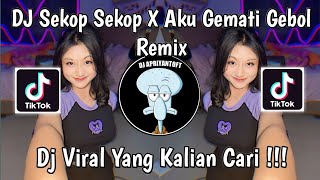 DJ SEKOP SEKOP X AKU GEMATI GEBOL REMIX  DJ RUTINITAS RADONG X SEKOP SEKOP VIRAL TIK TOK 2024 [upl. by Lebisor]