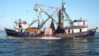 BARCOS SARDINEROS DE YAVAROSwmv [upl. by Muiram470]