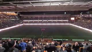 Wolves Molineux Atmosphere 011121 [upl. by Ssidnak322]