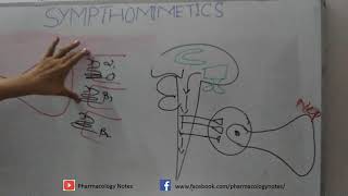 Pharmacology of Sympathomimetics [upl. by Prichard]