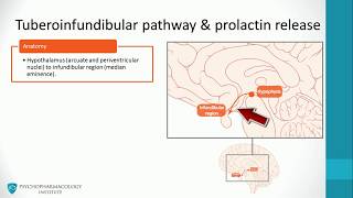 Antipsychotics Dopaminergic Pathways and Advanced Mechanisms [upl. by Ociredef]