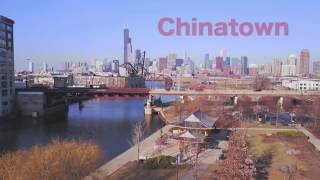 Chinese New Year A Chicago Celebration [upl. by Assilana]