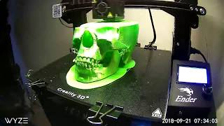 3D Printed Skull using 3D Solutechs Ultra PLA in Green on my Ender 3 Get in the Halloween Spirit [upl. by Bautista]