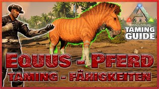 ★ ARK TAMING GUIDE ★ Equus zähmen und Fähigkeiten  ARK Survival Evolved  Doctendo [upl. by Kazimir]