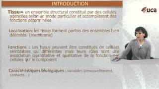 Histologie Introduction [upl. by Steinberg]