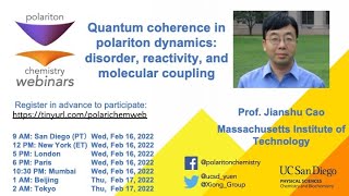 Quantum coherence in polariton dynamics vibrational coupling reactivity and disorder [upl. by Tabber]