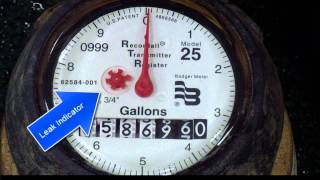 Verify The Accuracy Of your Meter Reading [upl. by Ellennahs]