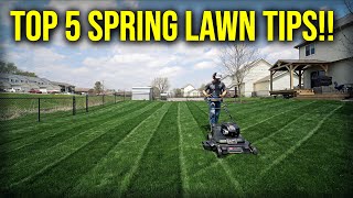 Top 5 Spring Lawn Tips 2024 [upl. by Gaiser]