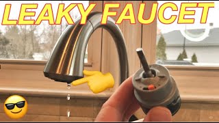 HOW TO FIX A LEAKY DELTA FAUCET  Replacing a Valve Cartridge on a Single Handle Delta Faucet Easy [upl. by Inness77]