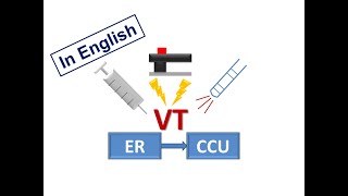 ESC Guidelines 4 Acute Management of VA English Version [upl. by Yhtuv82]