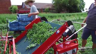 Terrateck  Greens salads and aromatics harvester [upl. by Eelarak412]