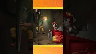 paw patrol rescue wheels 5 shorts [upl. by Oilcareh124]