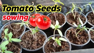 Tomato Seeds Sowing on Fruit day Biodynamic Planting Guide [upl. by Lazare]