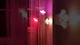 Setting up my flower lamp unboxing lighting homedecor floorlamp flowerlamp cozylights [upl. by Nednerb19]