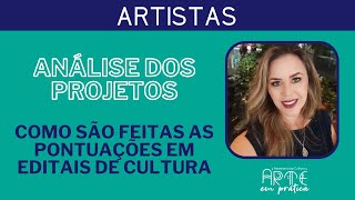 Como é feita a análise dos projetos em editais de cultura [upl. by Voss238]