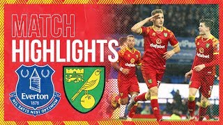 HIGHLIGHTS  Everton 02 Norwich City  Cantwell And Srbeny On Target In Merseyside [upl. by Tennies]