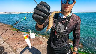 do this when multispecies fishing at the jetty pompano trout flounder [upl. by Atniuq863]