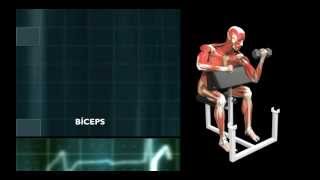 Exercicios Ombro para pacientes com Artrite AcromioClavicular [upl. by Swithbert]