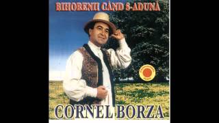 CORNEL BORZA TULAI DOAMNE BINE MI I [upl. by Ayotahc]