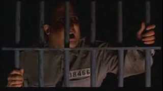 Shawshank Redemption Fresh Fish Scene  I want my mother [upl. by Arayt]