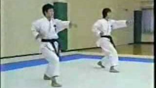 Karate Shotokan  JKA  Kihon [upl. by Aerdied782]