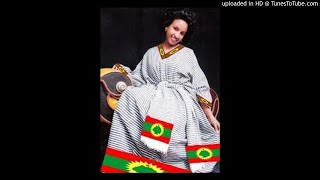 Hachalu HundessaNew Oromo Music [upl. by Bord535]