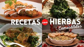 Recetas con hierbas comestibles  Platillos mexicanos tradicionales  Cocina Vital [upl. by Frasco267]