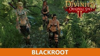 Where to find Blackroot for ritualDivinity Original Sin 2 [upl. by Redyr]