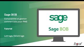 Tutoriel Sage BOB50  Lettrage et délettrage [upl. by Monaco]