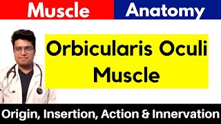 Orbicularis Oculi Muscle  Origin Insertion Action amp Innervation  Orbicularis Oculi in Hindi [upl. by Hali]