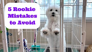 5 Rookie Puppy Mistakes We Learned the Hard Way [upl. by Lakin196]