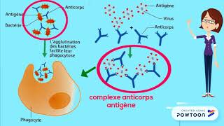 Réaction immunitaire spécifique [upl. by Torosian]