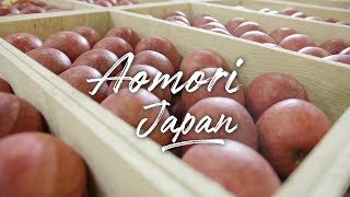 Aomori Gourmet amp Culture Japan 4K Ultra HD  青森 [upl. by Asiuqram223]