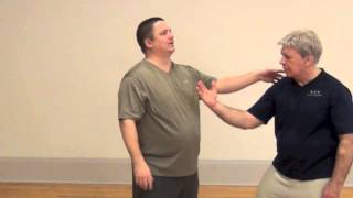 Awesome Tai Chi Arms Conserving Momentum and Kinetic Energy [upl. by Lynnworth71]