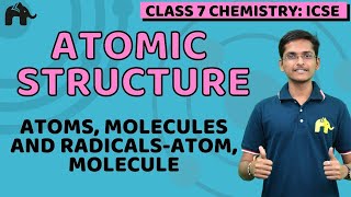 Atomic Structure Class 7 ICSE Chemistry  Selina Chapter 4  Atom Molecule Atomicity Questions [upl. by Adnuhsal704]