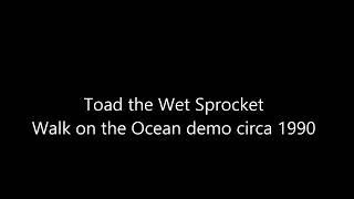 Toad The Wet Sprocket  Walk on the Ocean demo circa 1990 [upl. by Georgina137]