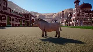 Albino Common Warthog  Planet Zoo Animals [upl. by Hartnett]