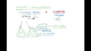 Secondary hyperaldosteronism Cushings disease renovascular HT Water part 3 by Coiled ENGLISH [upl. by Emirac265]