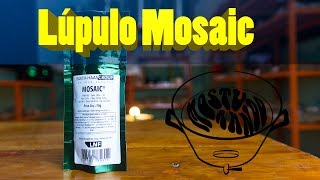 Lúpulo Mosaic  O lúpulo que toda cervejaria usa Assista esse vídeo e descubra o motivo [upl. by Ahsened]