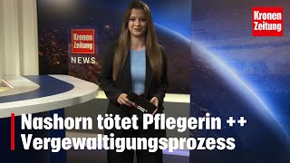 Nashorn tötet Pflegerin  Wienerin verfolgt und vergewaltigt 5 Jahre Haft [upl. by Francoise975]