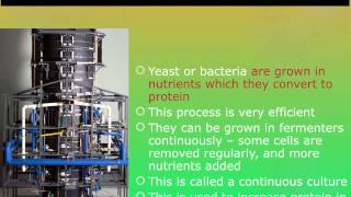 IGCSE 26 Microorganisms in the Food Industry extended [upl. by Helbon]