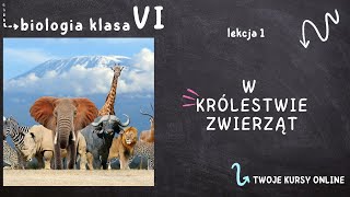 Biologia klasa 6 Lekcja 1  W królestwie zwierząt [upl. by Hsekar]